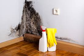 Best Residential Mold Inspection & Testing  in Mcallen, TX